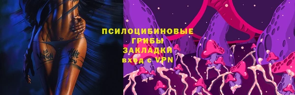 гидропоника Дмитриев