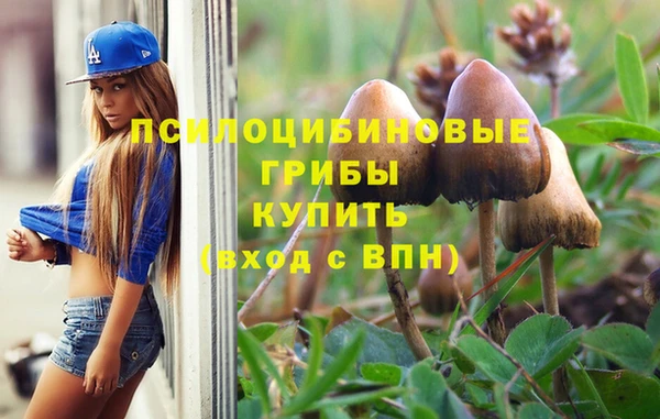 гидропоника Дмитриев