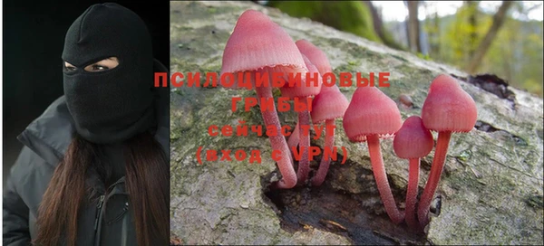 гидропоника Дмитриев