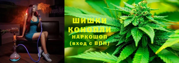 гидропоника Дмитриев