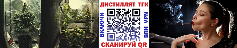 Дистиллят ТГК вейп с тгк  мориарти формула  Жердевка  даркнет сайт 