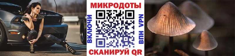 Галлюциногенные грибы прущие грибы  Жердевка 